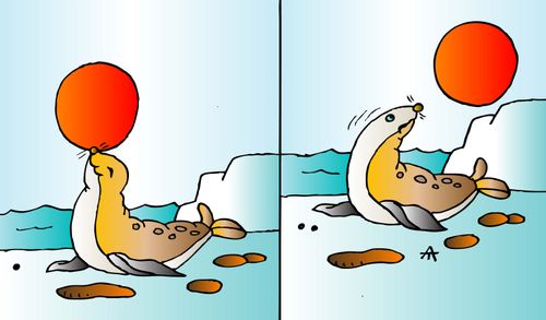 Sea lion
