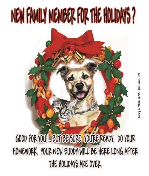 New Family Member for the Holidays?