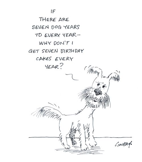 "If there  are seven dog years to every year - why don't I get seven birthday cakes every year?"