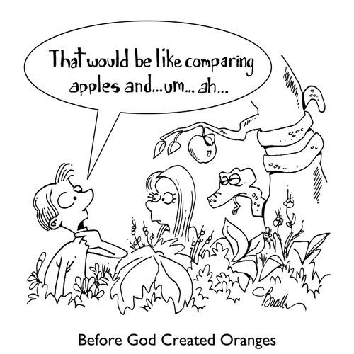 Before God Created Oranges