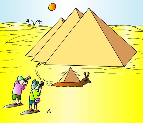 Pyramid Snail