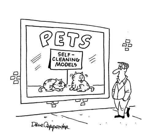 Pets: Self-Cleaning Models