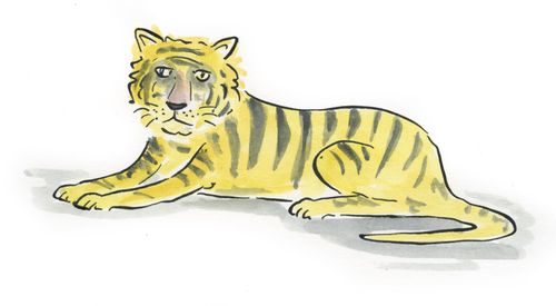 Tiger