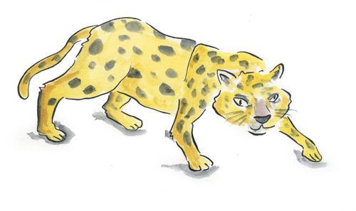 Jaguar