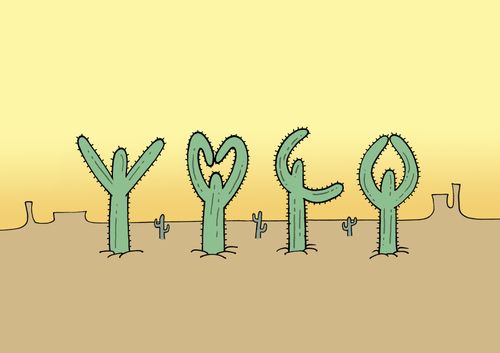 YMCA