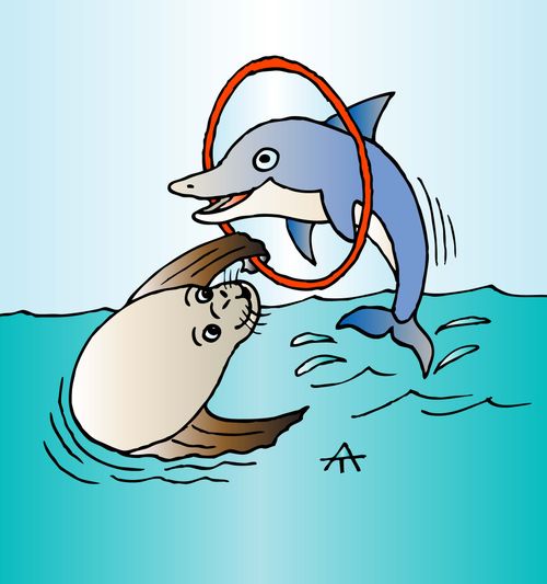 Sea Lion and Dolphin Tricks