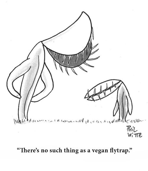 "There's no such thing as a vegan flytrap."