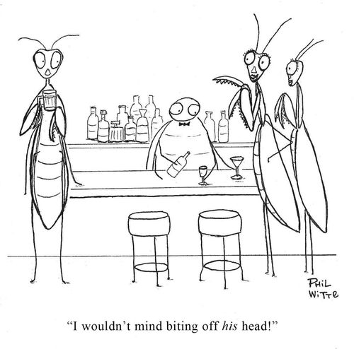 "I wouldn't mind biting off his head!"