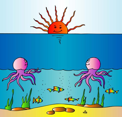 Octopus