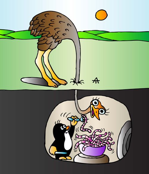 Ostrich and Mole