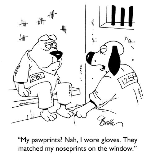 "My pawprints? Nah, I wore gloves. They matched my noseprints on the window."