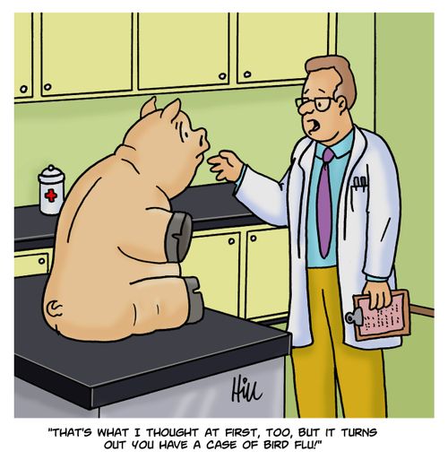 "That's what I thought at first, too, but it turns out you have a case of bird flu!"