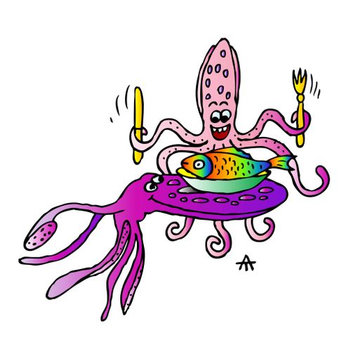 Octopus