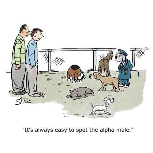 "It's always easy to spot the alpha male."