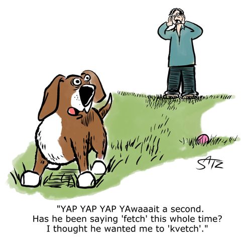 "YAP YAP YAP YAwaiit a second. Has he been saying 'fetch' this whole time? I thought he wanted me to 'kvetch'."