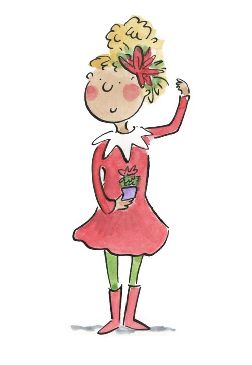 Poinsettia