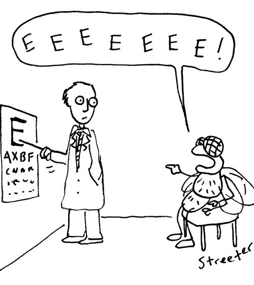 Fly at the Optometrist