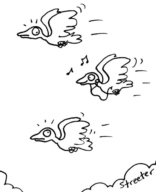 Migration Music