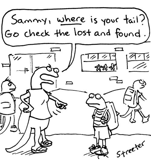 "Sammy, where is your tail? Go check the lost and found."