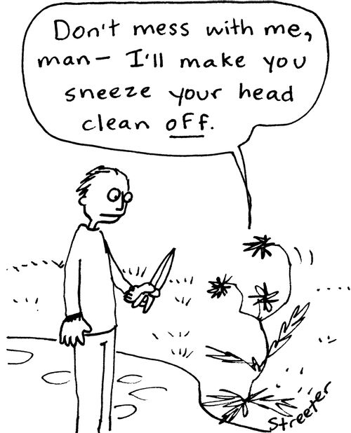 "Don't mess with me, man - I'll make you sneeze your head clean off."