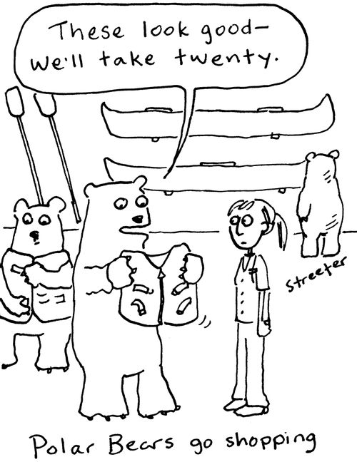 Polar Bears go shopping