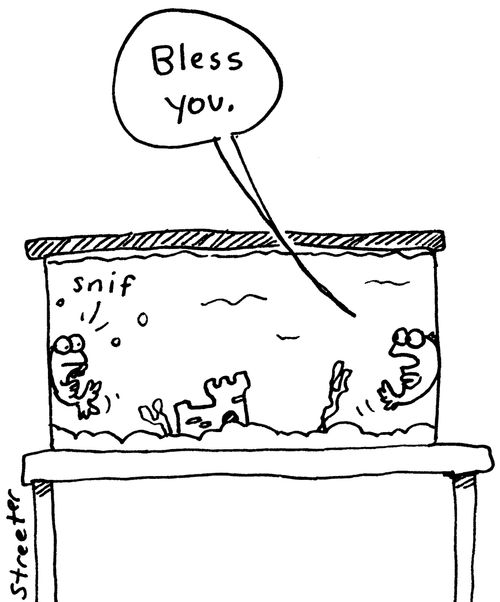 "Bless you."