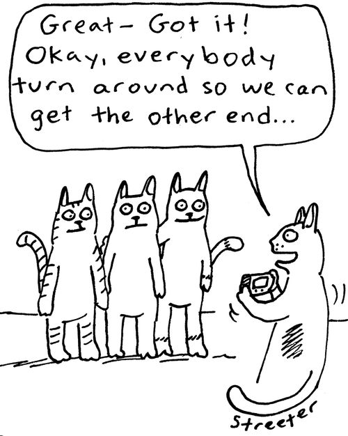 "Great - got it! Okay, everybody turn around so we can get the other end. . ."