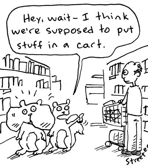 "Hey, wait - I think we're supposed to put stuff in a cart."