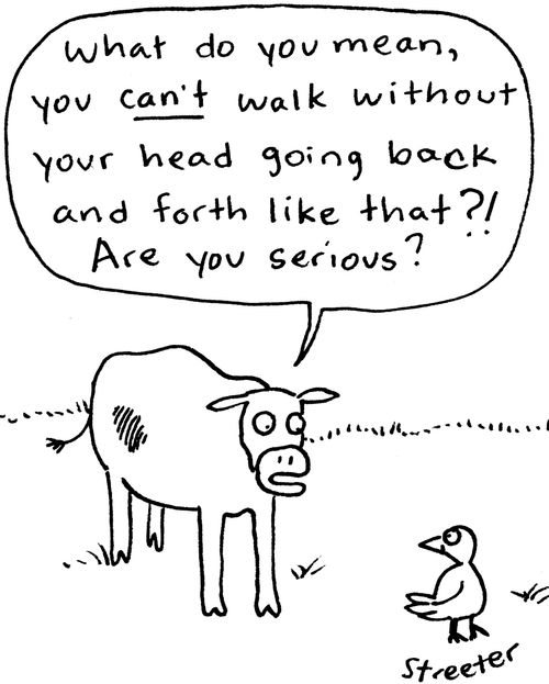 "What do you mean, you can't walk without your head going back and forth like that?! Are you serious?"