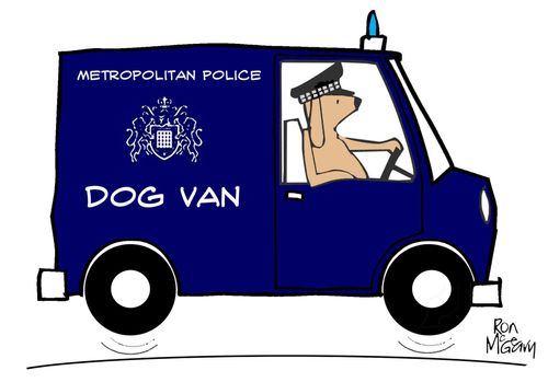 Dogvan