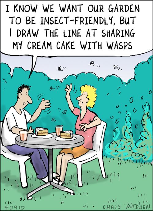 "I know we want our garden to be insect-friendly, but I draw the line at sharing my cream cake with wasps."