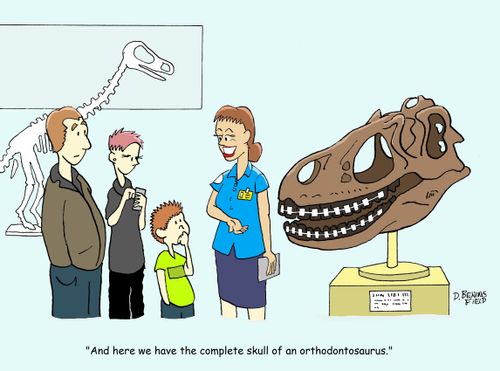 "And here we have the complete skull of an orthodontosaurus."