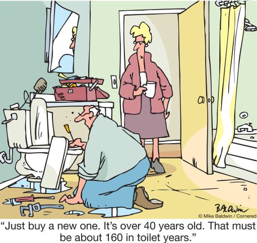 "Just buy a new one. It's over 40 years old. That must be about 160 in toilet years."