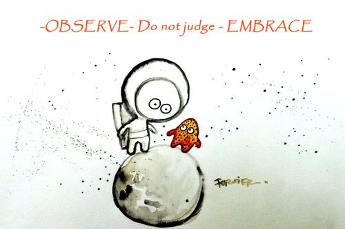 Observe - Do not Judge - Embrace