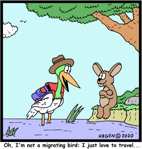"Oh, I'm not a migrating bird: I just love to travel..."