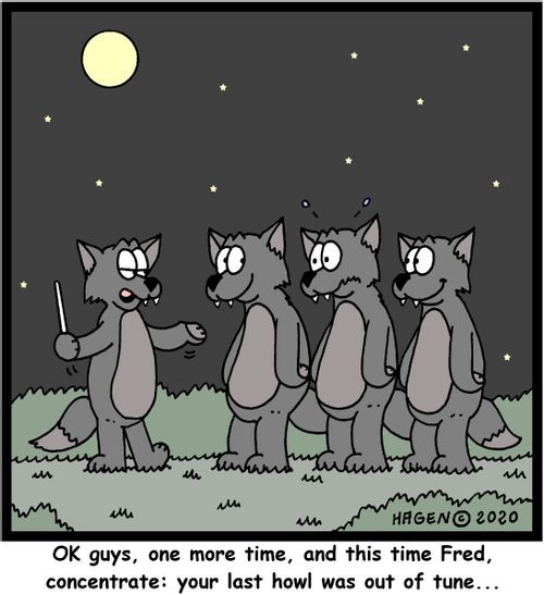 "OK guys, one more time, and this time Fred, concentrate: your last howl was out of tune..."