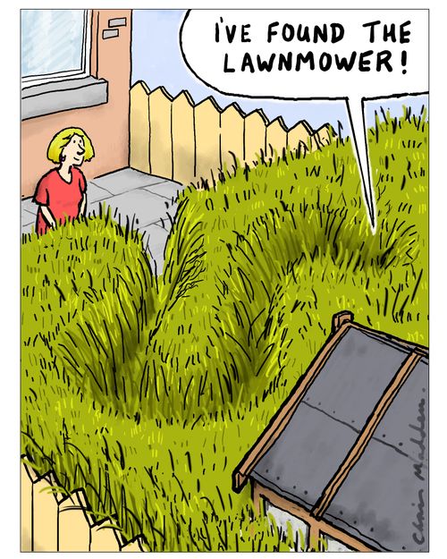 "I've found the lawnmower!"