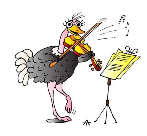 Ostrich 