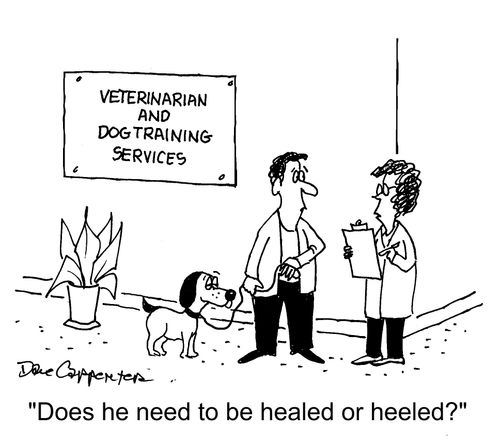 "Does he need to be healed or heeled?"