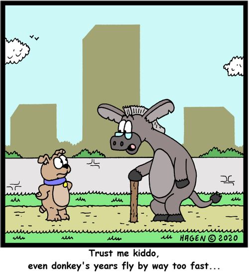 "Trust me kiddo, even donkey's years fly by way too fast..."