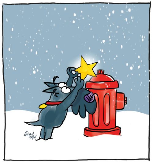 Holiday Star