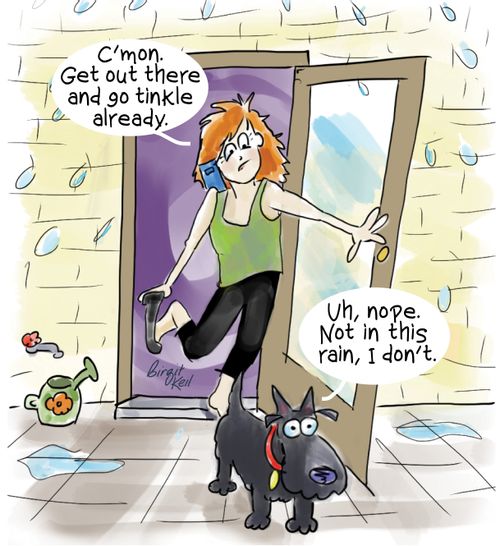 "C'mon. Get out there and go tinkle already."