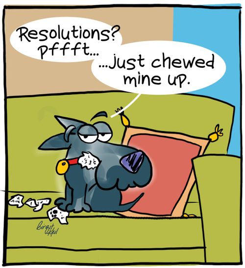 "Resolutions? pfffft. . . just chewed mine up."