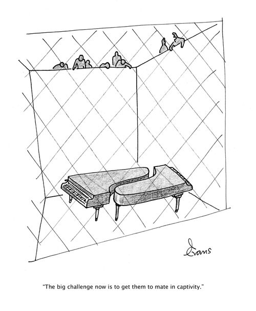 "The big challenge now is to get them to mate in captivity."