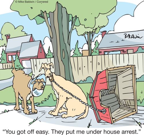 "You got off easy. They put me under house arrest."