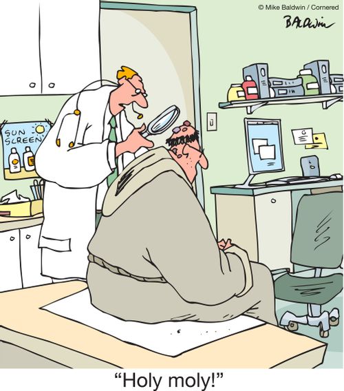 "Holy moly!"