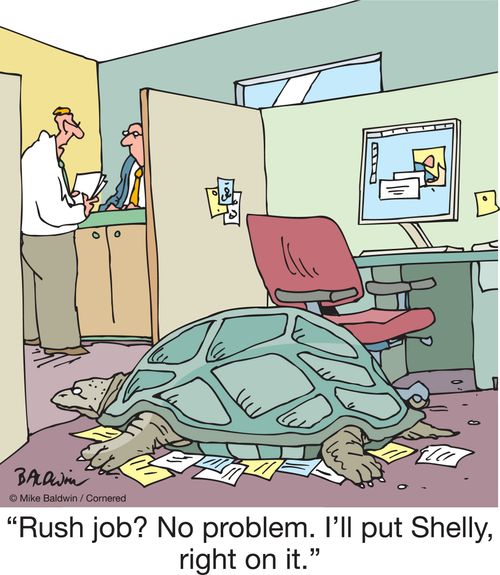 "Rush job? No problem. I'll put Shelly, right on it."