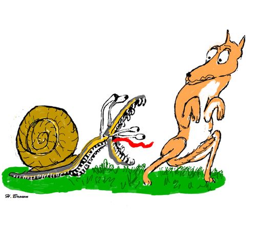 The Angry Snail