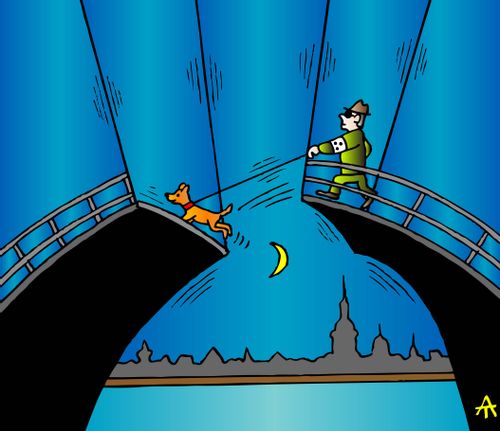 Guide Dog a Broken Bridge