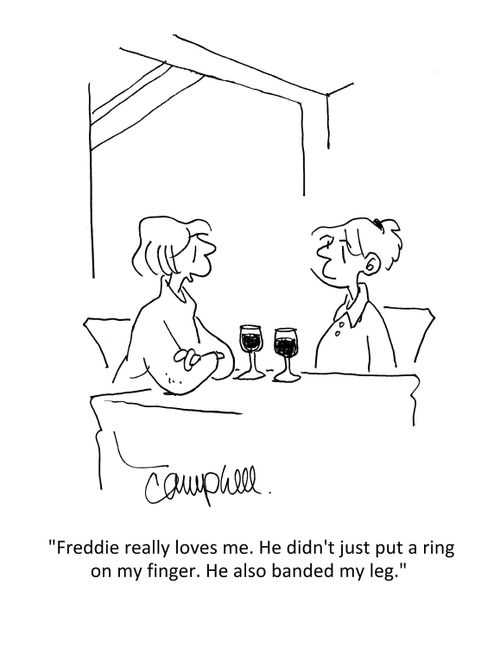 "Freddie really loves me. He didn't just put a ring on my finger. He also banded my leg."